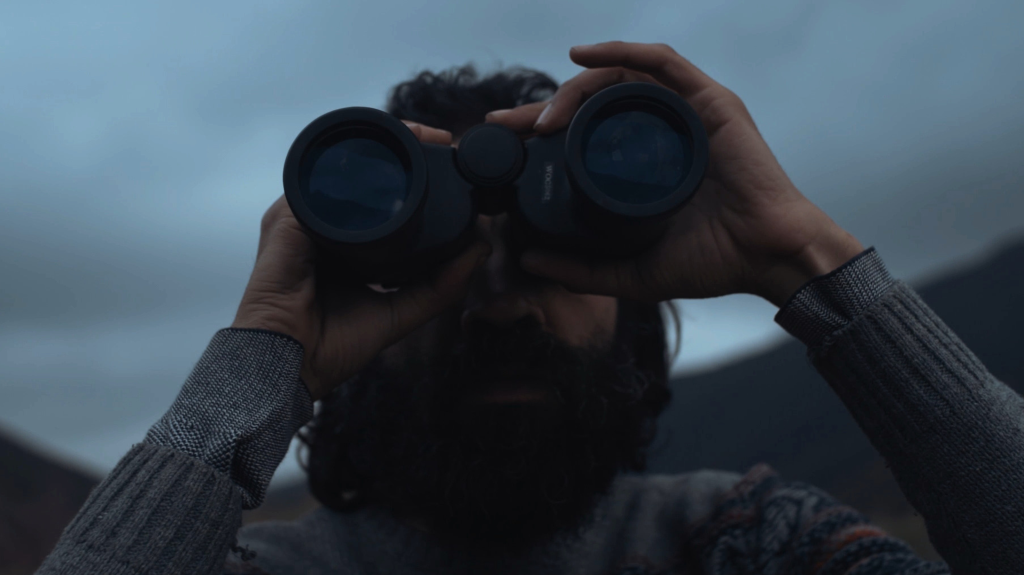 À LA RECHERCHE DE L'OISEAU…